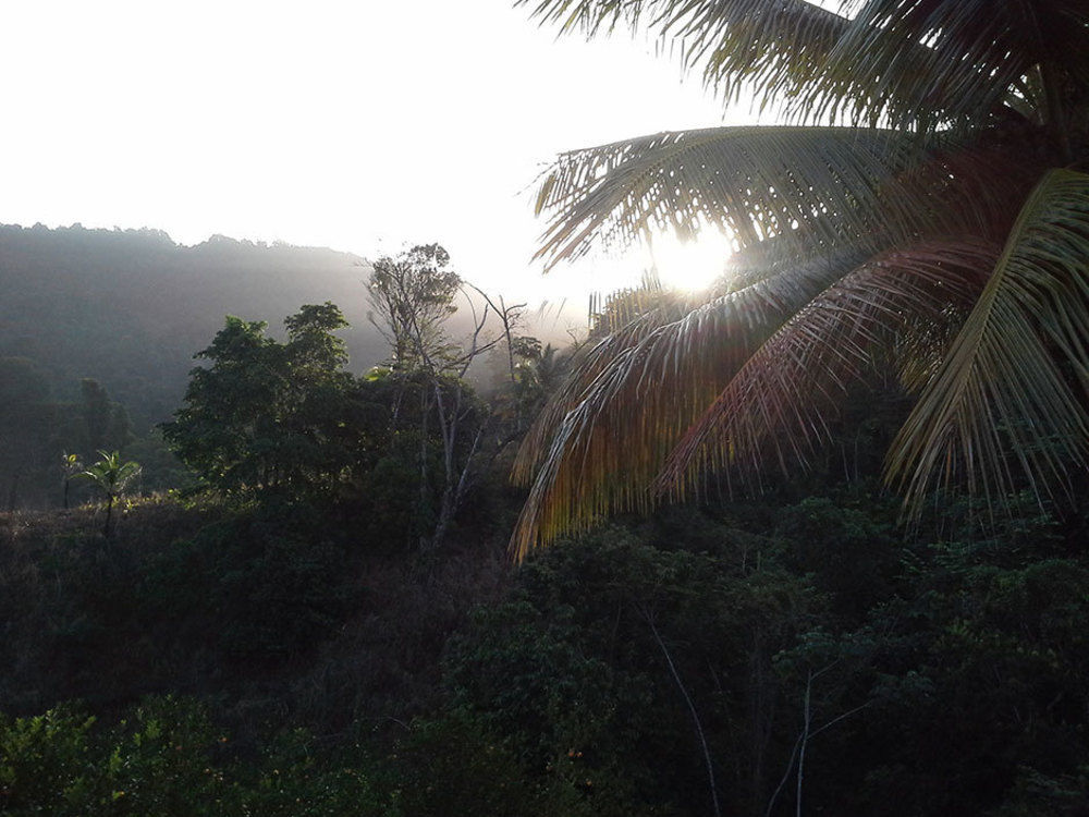 Las Cuevas Beach Lodge Екстер'єр фото